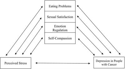 Modeling the relationship between depression in people with cancer and perceived stress, with the mediating role of eating problems, sexual satisfaction, emotion regulation and self-compassion